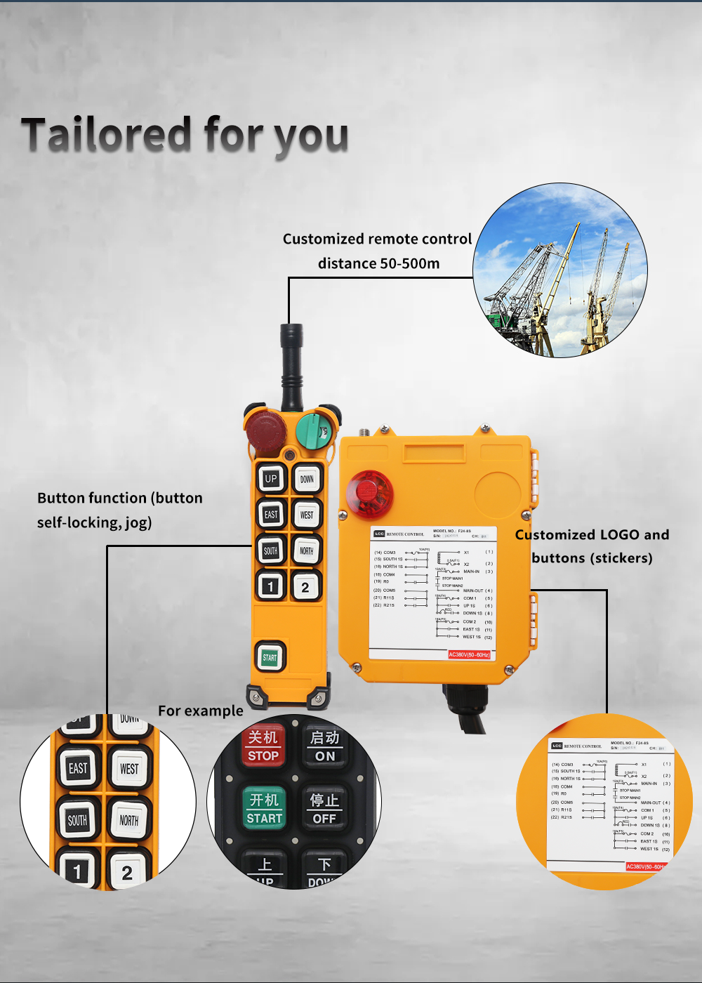F24-8S LCC (2) Produzione 