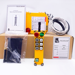 F24-6D Telecrane 315MHz Interruttore di controllo radio wireless per gru
