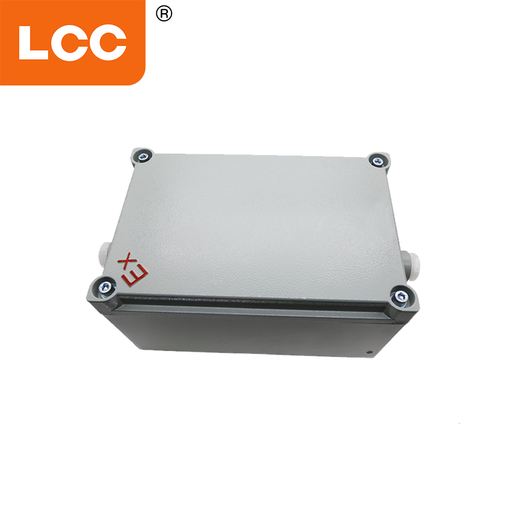 LCC BQ1000 Telecomando wireless antideflagrante a 10 pulsanti antideflagrante per gru a torre in aree pericolose